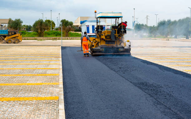 Best Local Driveway Pavers  in Bloomington, MN